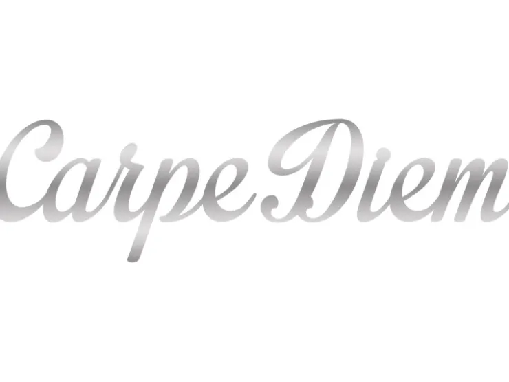 Pro Art Dekoschriftzug Carpe Diem 70 cm x 25 cm* Wanddekoration