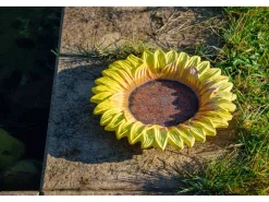 Dobar Insektentränke Fiore 30,5 cm x 30,5 cm x 4 cm Bunt* Vogeltränken