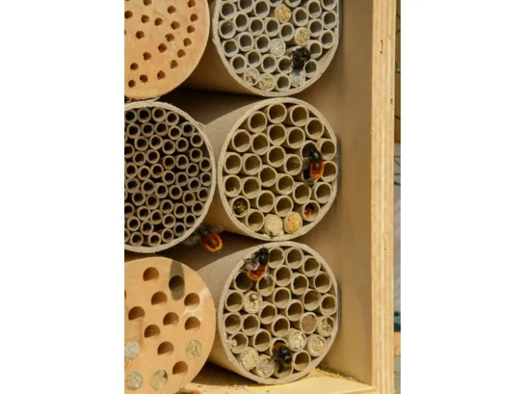 Dobar Profi-Insektenhotel für Wildbienen 16 cm x 12,5 cm x 23 cm Birke