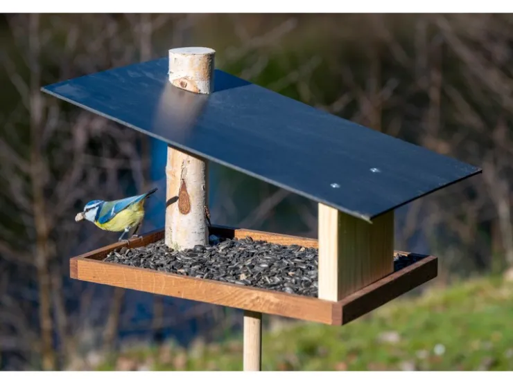 Dobar Vogelfutterhaus Futura mit Futterstation für Wildvögel 24 cm x 22 cm Holz