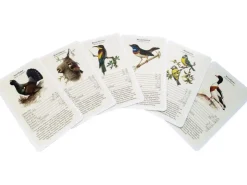 Dobar Vogelquartett Fliegende 9,3 cm x 13,4 cm x 3,5 cm Edelstein* Vogelbedarf