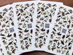 Dobar Vogelquartett Fliegende 9,3 cm x 13,4 cm x 3,5 cm Edelstein* Vogelbedarf