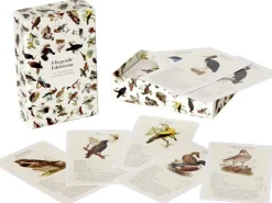 Dobar Vogelquartett Fliegende 9,3 cm x 13,4 cm x 3,5 cm Edelstein* Vogelbedarf
