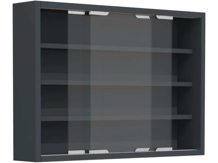 ebuy24 AgisaM Glasvitrinen Wandhängend 2 Schiebetüren Anthrazit