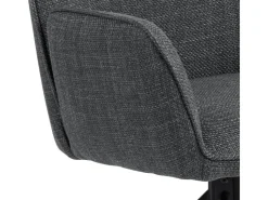 ebuy24 Glenda Esszimmerstuhl Mit Armlehnen Stoff Grau* Stühle