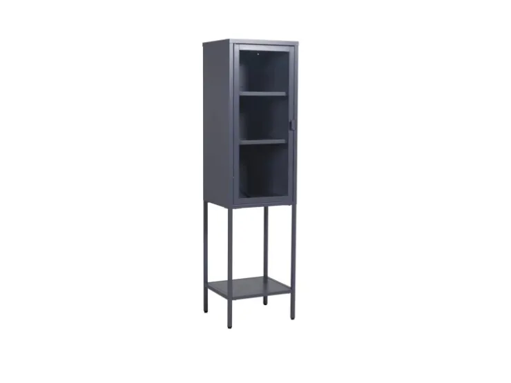 ebuy24 Misha Vitrinenschrank 1 Tür 4 Ablagen Grau* Vitrinen