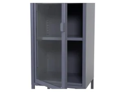 ebuy24 Misha Vitrinenschrank 1 Tür 4 Ablagen Grau* Vitrinen