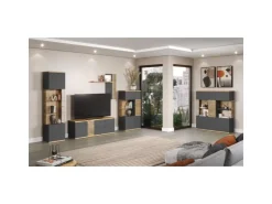 ebuy24 Norris1 Vitrinenschrank Grau Eiche Dekor