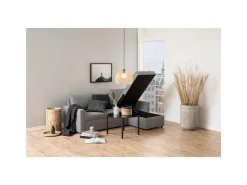 ebuy24 Sander Schlafsofa mit Ottomane Aufbewahrung und Auszug Hellgrau