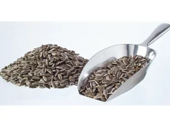 elles Sonnenblumenkerne 2,5 kg* Vogelbedarf