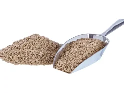 elles Sonnenblumenkerne geschält 2,5kg* Vogelbedarf