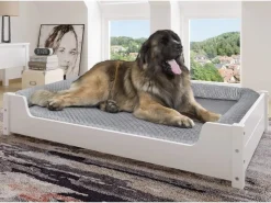 Erst-Holz Hundesofa XXL für Dogge Bernhardiner Tierbett 120 x 70 cm Kiefer Weiß Rollrost inkl.* Kissenbezüge