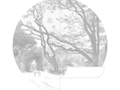 ESTAhome Selbstklebende Runde Tapete Wald Mit Waldtieren Grau Ø 140 cm 159083* Wandtattoos