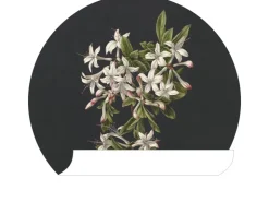 ESTAhome Selbstklebende Runde Tapete Blüte Hellrosa und Schwarz Ø 70 cm 158992