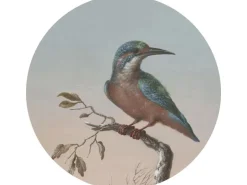 ESTAhome Selbstklebende Runde Tapete Eisvogel Auf Zweig Abendrot Ø 140 cm 159017