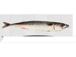 ESTAhome Wandtattoo Fische Grau 97 x 48,5 cm 159030