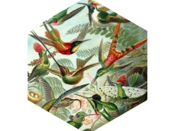 ESTAhome Wandtattoo Vögel Dschungelgrün 140 x 161 cm 159023* Wandtattoos