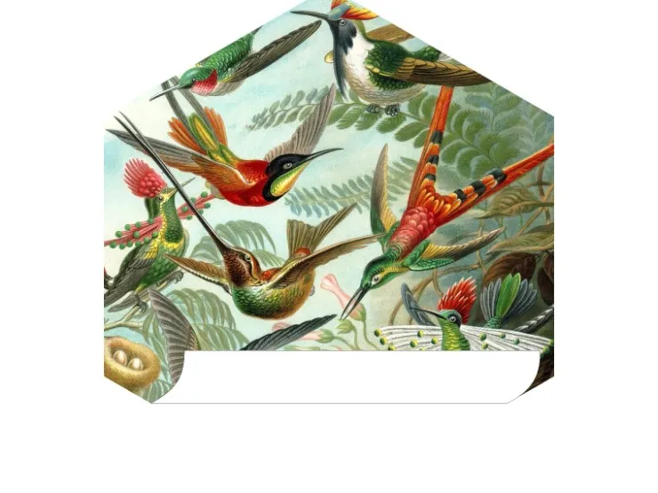 ESTAhome Wandtattoo Vögel Dschungelgrün 70 x 81 cm 158999* Wandtattoos