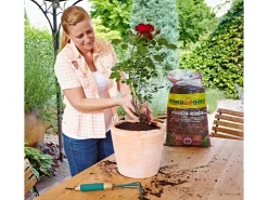 Floragard Pinienrinde fein 2 - 8 mm 20 l* Terraristik