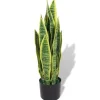 furnicato Künstliche Sansevieria Bogenhanf mit Topf 65 cm Grün