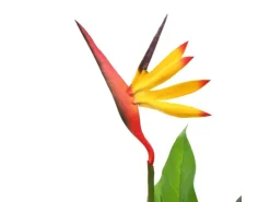 furnicato Künstliche Strelitzia Reginae Paradiesvogelblume 66 cm* Kunstpflanzen