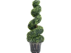 furnicato Künstlicher Buchsbaum mit Topf Spiralform Grün 100 cm* Kunstpflanzen