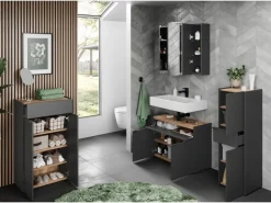 Germania Kommode Forano 4499 Graphit Eiche 56 cm x 98 cm x 34 cm