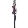 Getrockneter Dekostrauß Lilie Midnight Mystery 95 cm Lila-Schwarz
