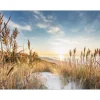 Pro Art Giclèe Wilder Strand III 160 cm x 90 cm