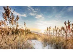 Pro Art Giclèe Wilder Strand III 160 cm x 90 cm