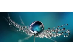 Pro Art Glasbild Drop On Water 80 cm x 30 cm