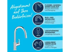Grohe QuickFix Einhebel-Spültischarmatur Start Loop Chrom mit Brause* Vasen