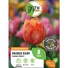 GROW by OBI Papagei-Tulpe Avignon Parrot Rot 8 Stück Tulipa parrot* Vasen