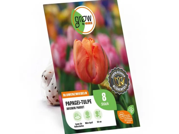 GROW by OBI Papagei-Tulpe Avignon Parrot Rot 8 Stück Tulipa parrot* Vasen