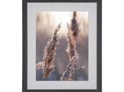 Holzbilderrahmen Breit 40 cm x 50 cm