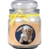 HS Candle Duftkerze & Bonbon Glas Genesung Gelb Vanille