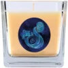 HS Candle Duftkerze & Glas Sternzeichen Vanille 50 Stunden Wassermann* Windlichter