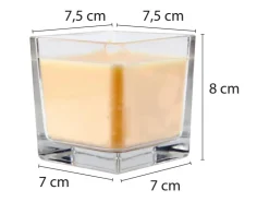 HS Candle Duftkerze & Glas Sternzeichen Vanille 50 Stunden Wassermann* Windlichter