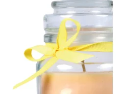 HS Candle Duftkerze & Glas Sternzeichen Vanille 30 Stunden Löwe