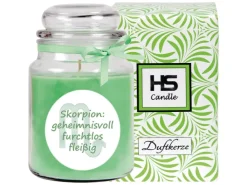 HS Candle Duftkerze & Glas Sternzeichen Coconut Limes 110 Stunden Skorpion* Windlichter