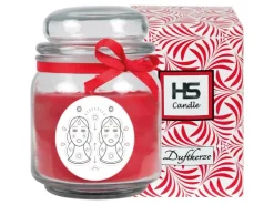 HS Candle Duftkerze & Glas Sternzeichen Rose 70 Stunden Zwillinge* Windlichter