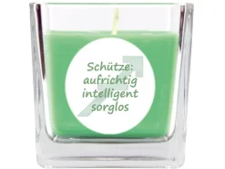 HS Candle Duftkerze & Glas Sternzeichen Coconut Limes 50 Stunden Schütze