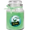 HS Candle Duftkerze & Glas Halloween Grün Bonbon 110h* Windlichter