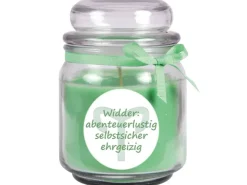 HS Candle Duftkerze & Glas Sternzeichen Coconut Limes 70 Stunden Widder* Windlichter