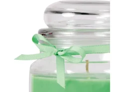 HS Candle Duftkerze & Glas Sternzeichen Coconut Limes 70 Stunden Widder* Windlichter