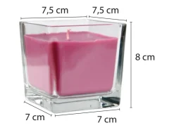 HS Candle Duftkerze & Glas Sternzeichen Lavendel 50 Stunden Wassermann* Windlichter