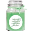 HS Candle Duftkerze & Glas Sternzeichen Coconut Limes 110 Stunden Schütze