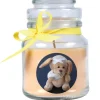 HS Candle Duftkerze & Glas Genesung Gelb Vanille* Windlichter