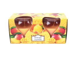 HS Candle Duftkerze Creation Kerzen 2er Pack Mango Sorbet