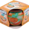 HS Candle Duftkerze Motiv Kerze Raumduft Fresh Melon* Kerzen